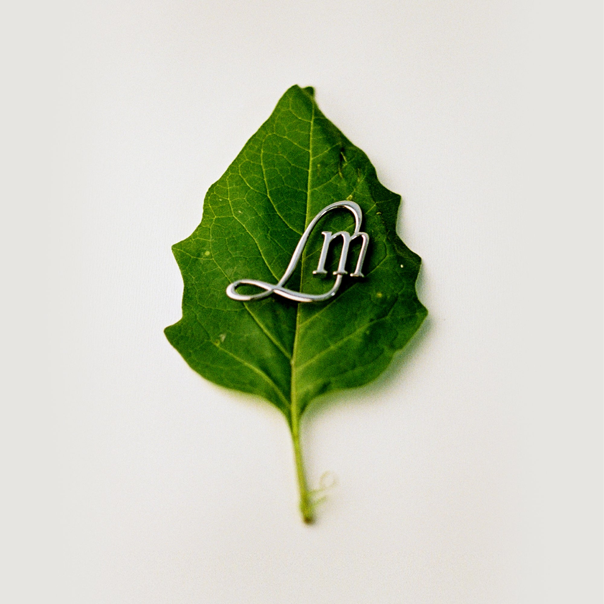 Abbreviated Pin